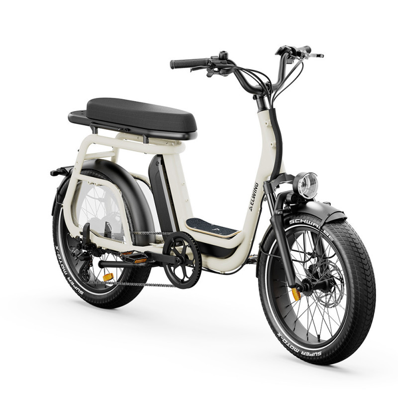 velo-cargo-electrique-ritmic-duo